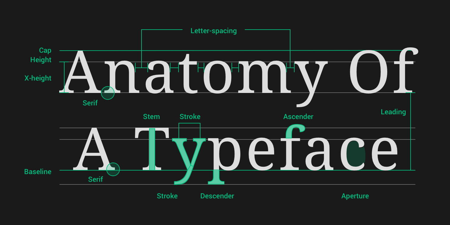 The Anatomy of a Typeface 